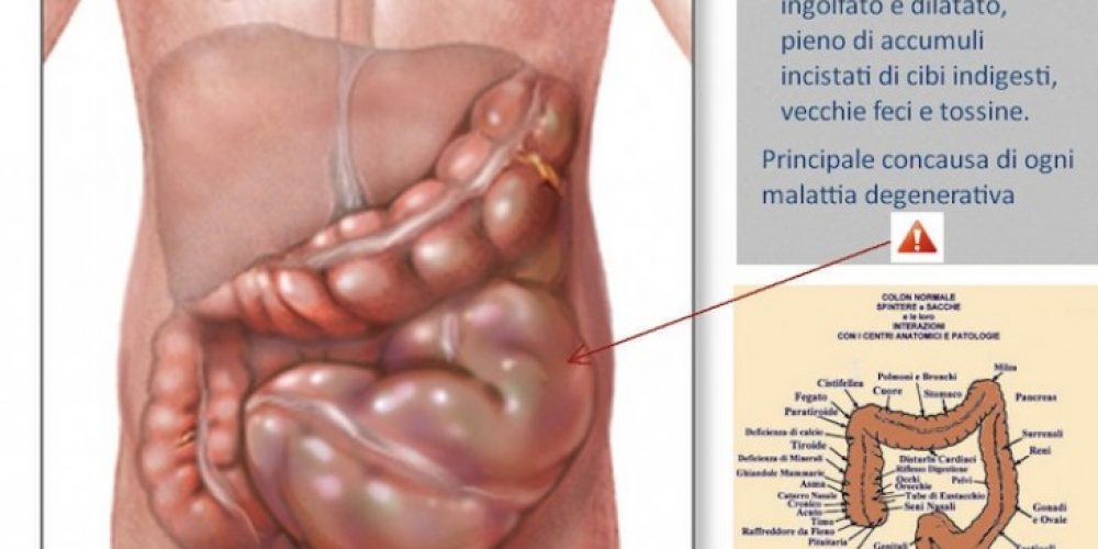 SMETTERE di utilizzare prodotti con Farina Bianca: